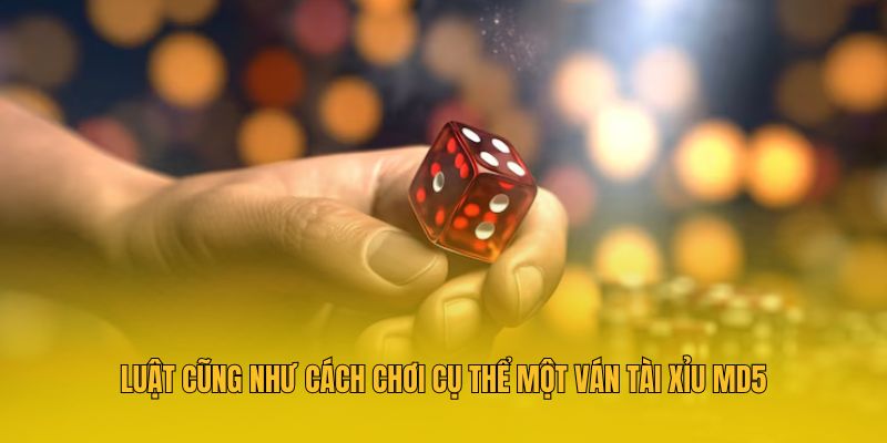 Luật cũng như cách chơi cụ thể một ván tài xỉu MD5